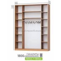 Шкаф купе 2х-дверный 1700х2400х600(450) Комбо